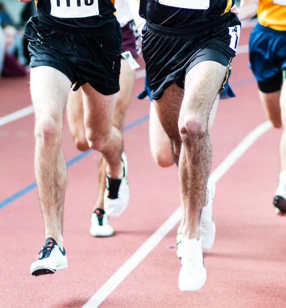 米兰体育app 界面展示